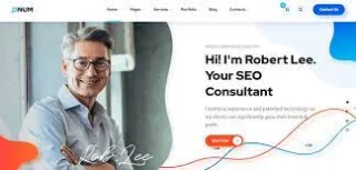 Onum - SEO & Marketing Elementor WordPress Theme