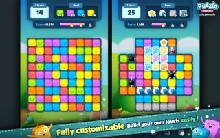Puzzle Match Kit