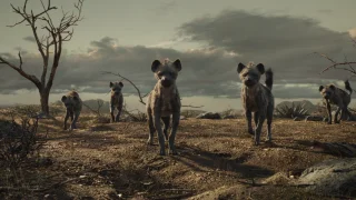 The Lion King GIFs