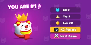 Meow.io Cat Fighter