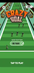 Crazy Goal Trending Sport Game