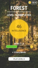 Word Connect Puzzle