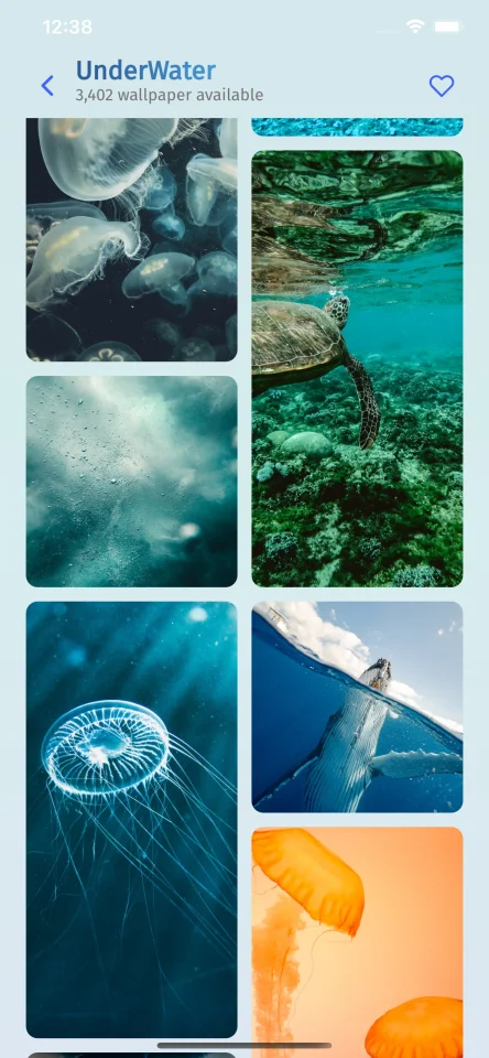 UWallpaper - Flutter v.2.10 App with GetX | Google AdMob | Pexels — screenshot 5