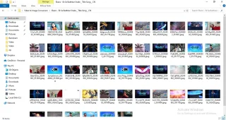Batch Video to Image Converter