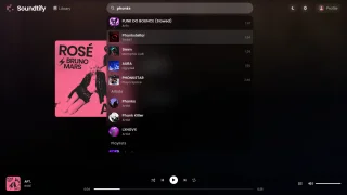 Soundtify - Premium Spotify Downloader