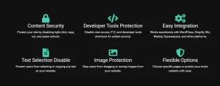 Copy Block Website Protection