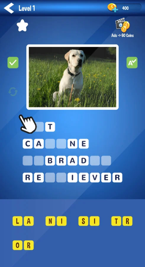 Photo Quiz - Unity Source Code — screenshot 4
