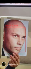 Face Recognition with Liveness Detection