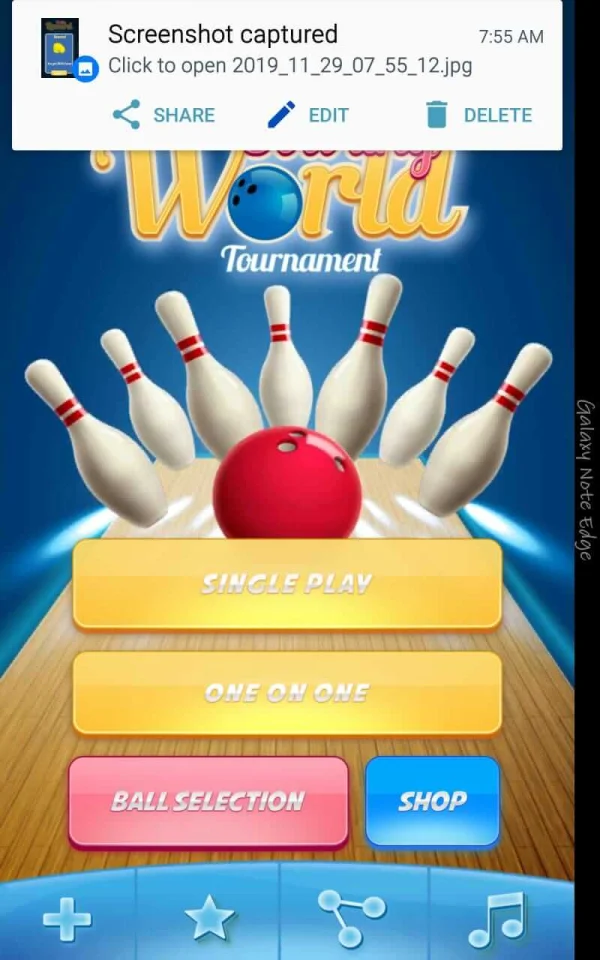 Bowling Championship – Premium 64-Bit Source Code – 1& 2 Player Modes — screenshot 2