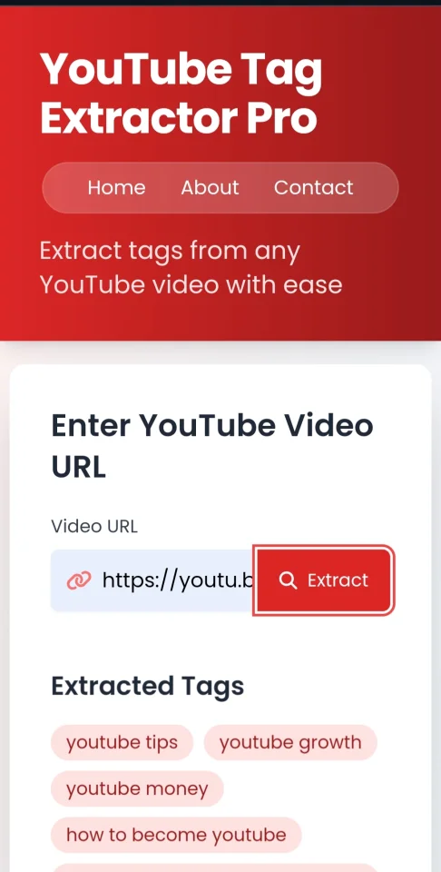 YouTube Tag Extractor Website Script — screenshot 1