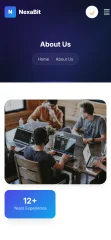 NexaBit IT Agency & Digital Solutions Template