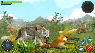 Wolf Simulator Attack Games 3D