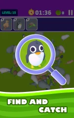 Match Animal 3D