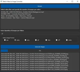 Batch Video to Image Converter