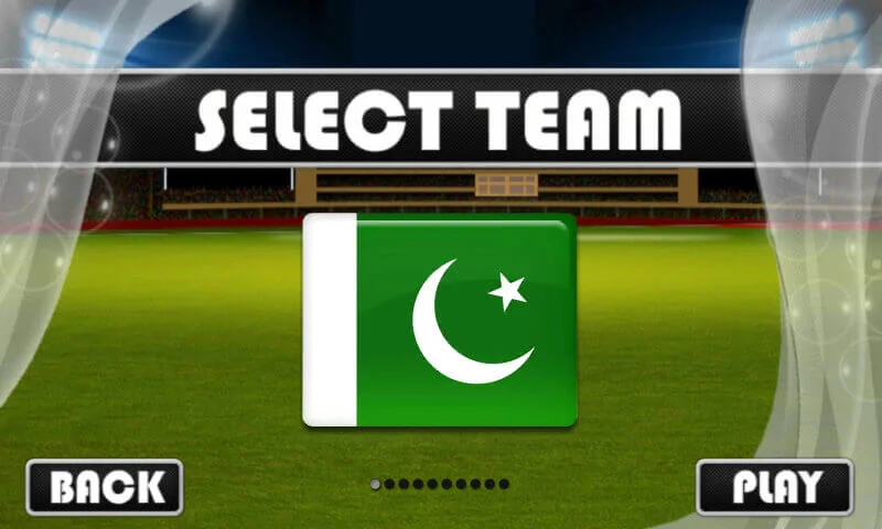 Cricket Stars Bowled 2019 64 Bit Supported — screenshot 5