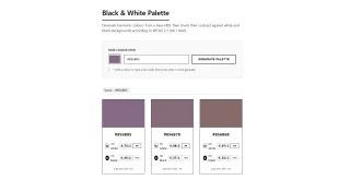 Accessible Color Palette Generator - WCAG Contrast Checker