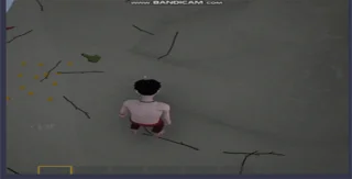 Island Survival