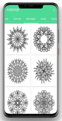 Colorize - Colorbook for Adult