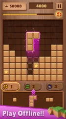 Wood Block Puzzle: Classic