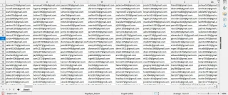USA Verified Email List
