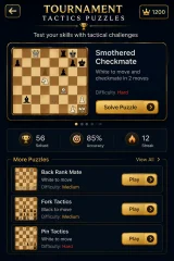 Royal Chess - Premium Chess Game