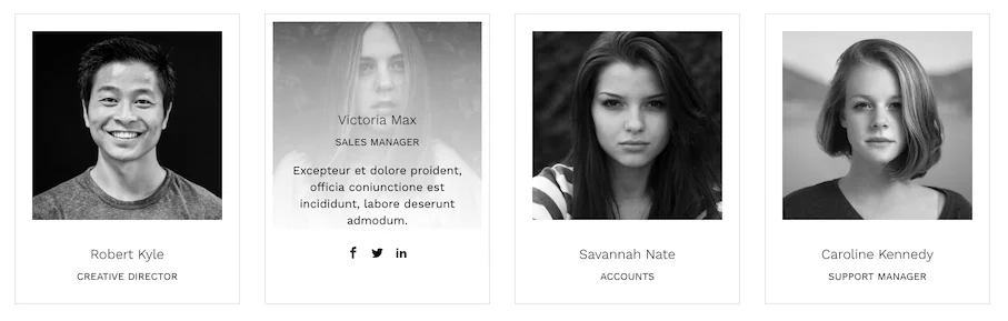 The Team Pro - Team Showcase WordPress Plugin — screenshot 1
