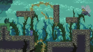Metroidvania Adventure