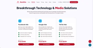 NestSite React/NestJS Agency Website + CMS