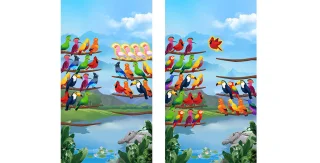 Bird Sort - Color Puzzle Unity Game