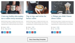 Blog Designer Pro for WordPress
