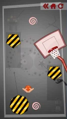 Basket Ball Flip