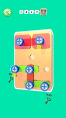 Screw Pin 3D Nuts Jam Puzzle