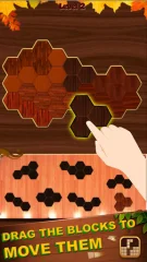 Block Hexa Woody Puzzle Source Code