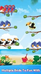 Bird Sorting Color Matching Complete Project