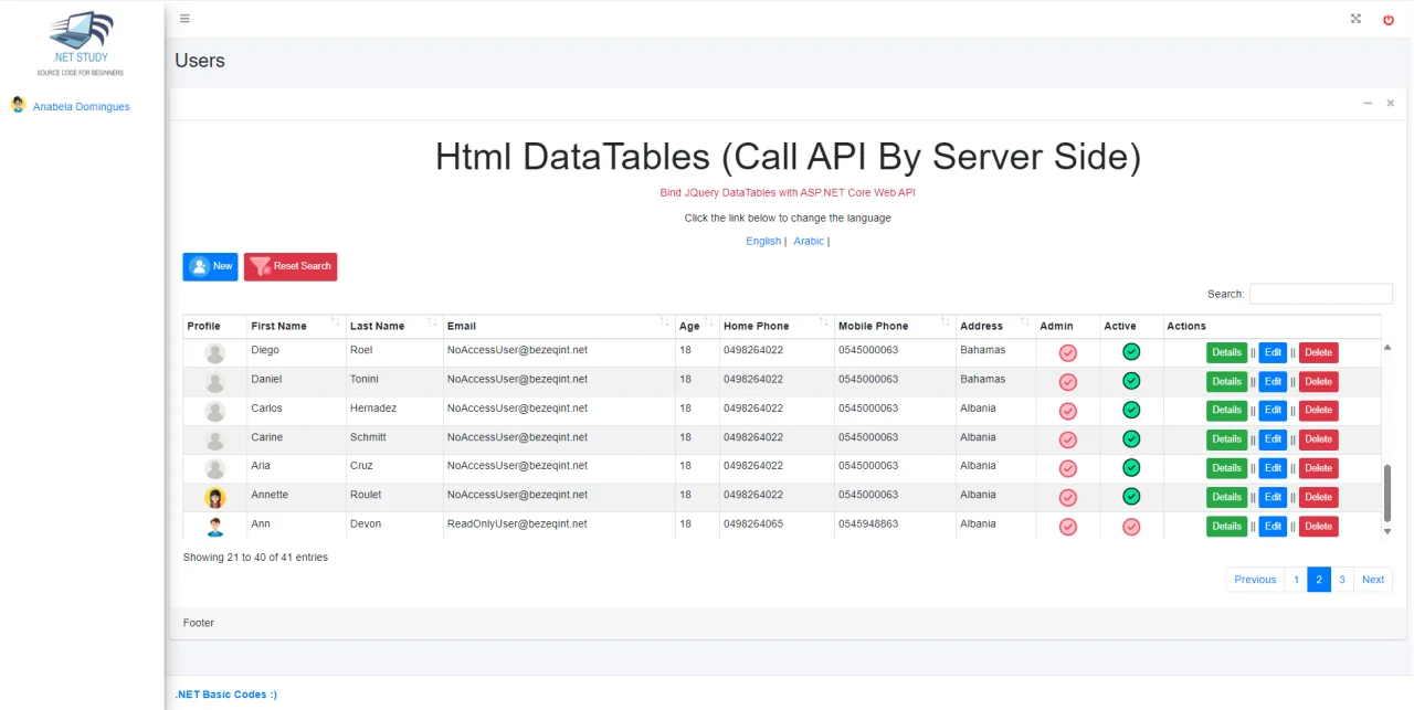 HTML Datatable with API — screenshot 2