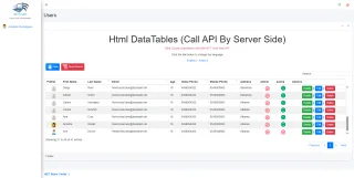 HTML Datatable with API