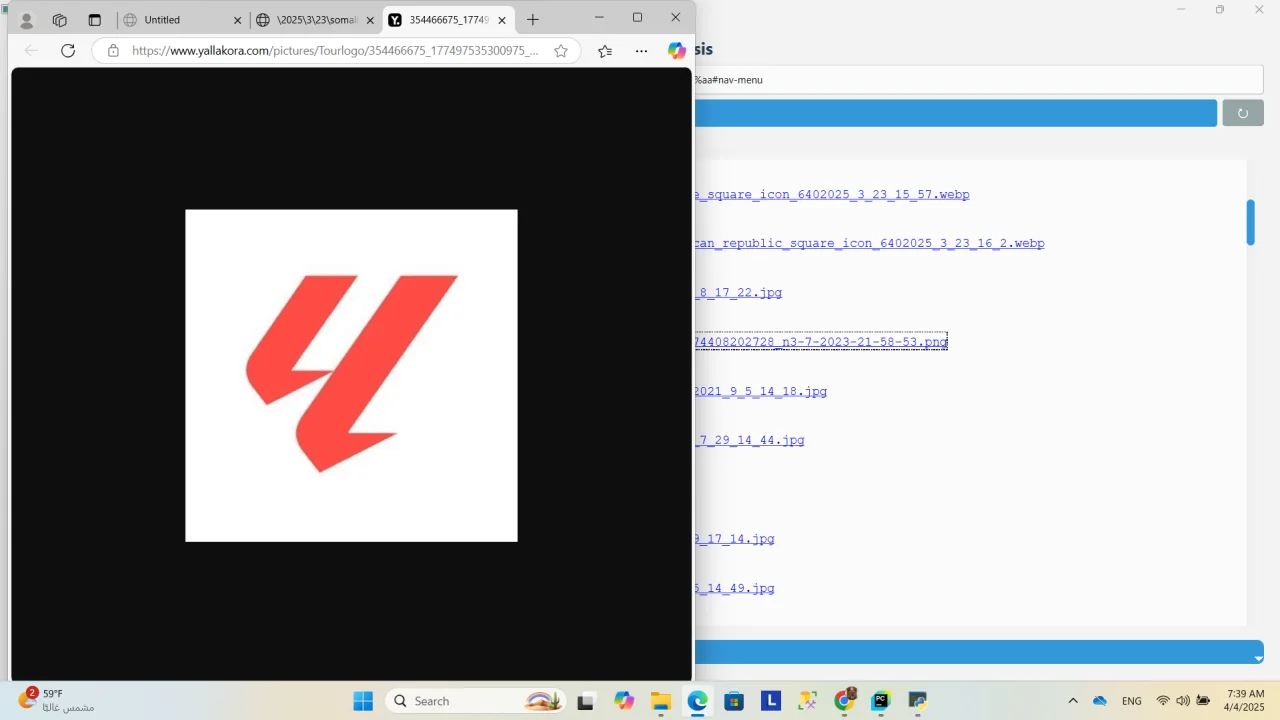 Web Image Analyzer — screenshot 2