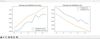 Program Description: Image Classifier for Smoker/Non-Smoker Detection