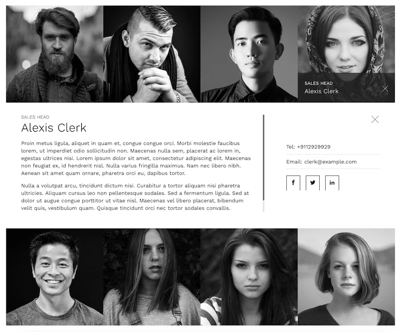 The Team Pro - Team Showcase WordPress Plugin — screenshot 3