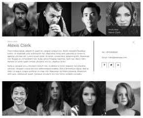 The Team Pro - Team Showcase WordPress Plugin