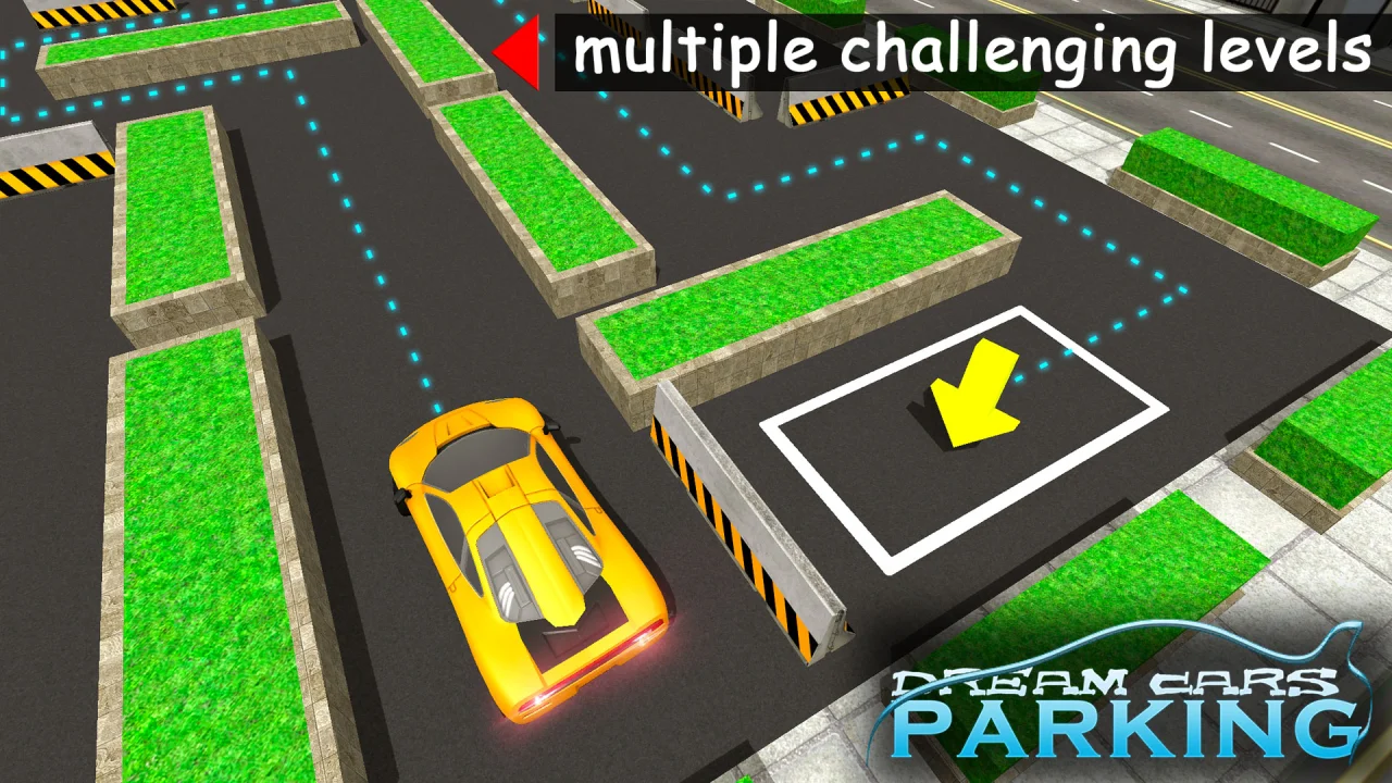 Dream Car Parking Simulator Crazy Car Driver — screenshot 4
