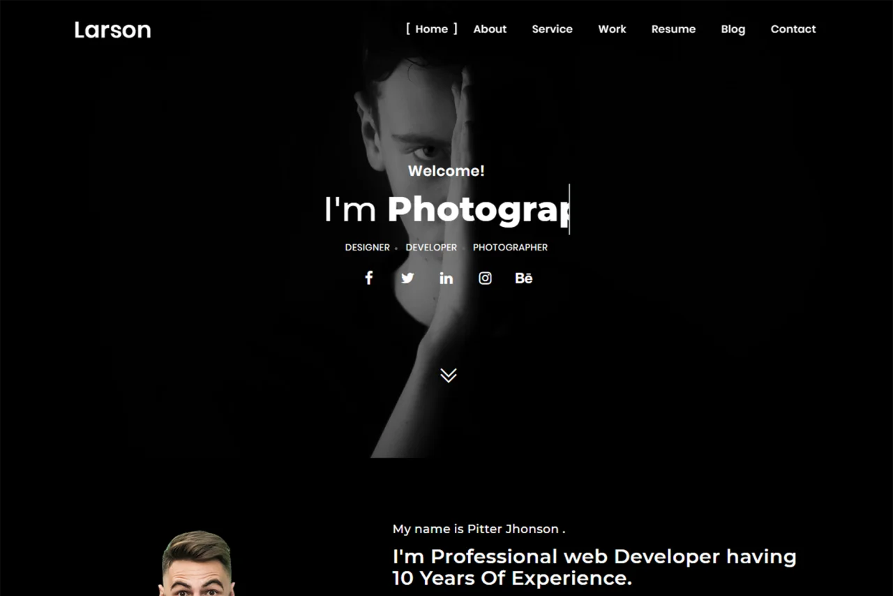 Larson Personal Portfolio Template — screenshot 4