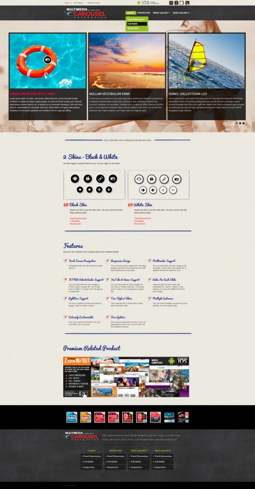 Multimedia Responsive Carousel with Image Video Audio Support - WordPress Plugin — screenshot 3