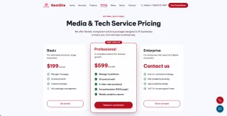 NestSite React/NestJS Agency Website + CMS