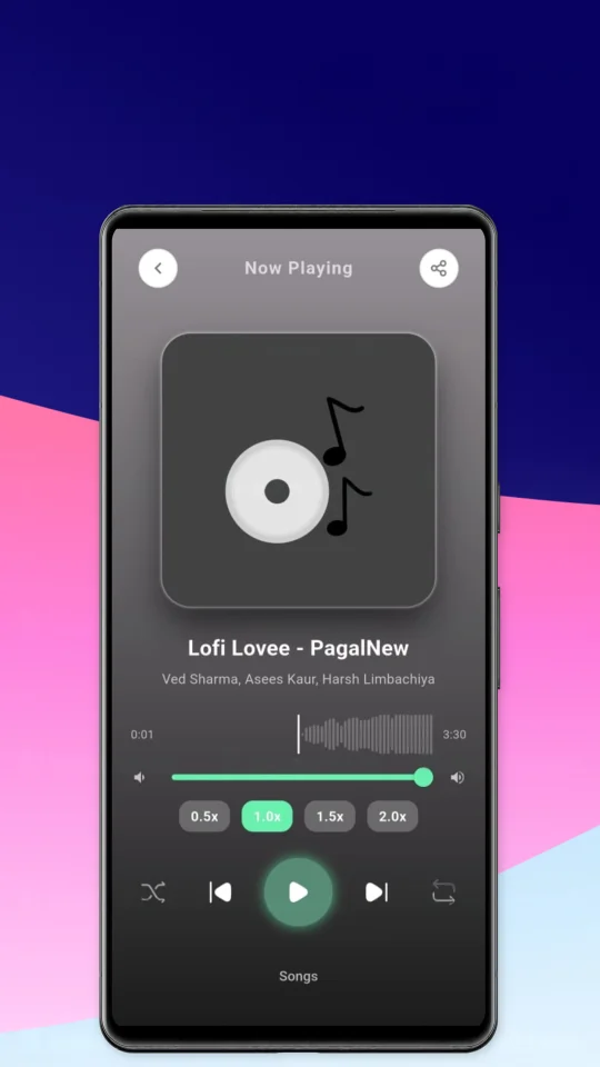 Offline Music Player Flutter App — screenshot 4