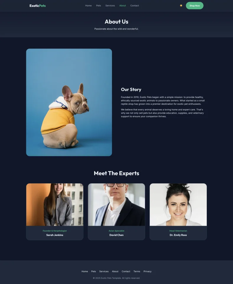 Pets - Modern Animal Store & Veterinary HTML Template — screenshot 3