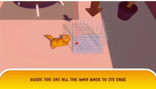 Cat & the Cage