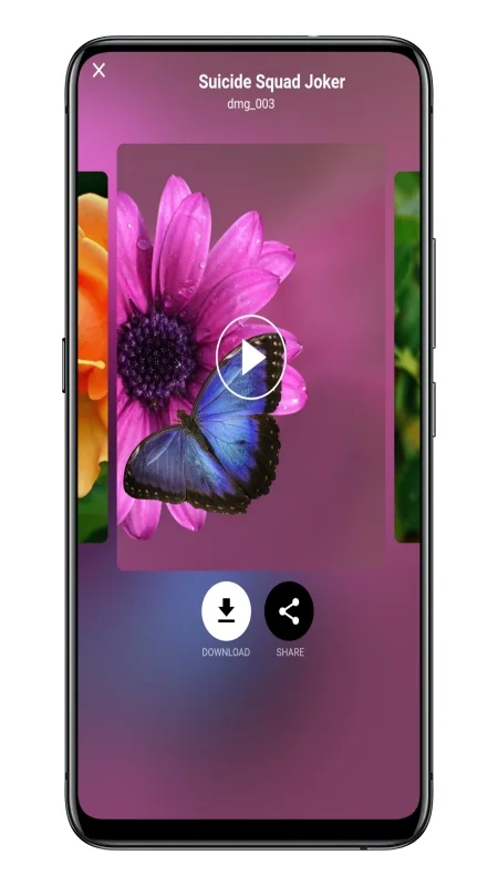 WallCraft Wallpapers and Ringtones Flutter App — screenshot 10