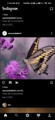 Instagram Clone