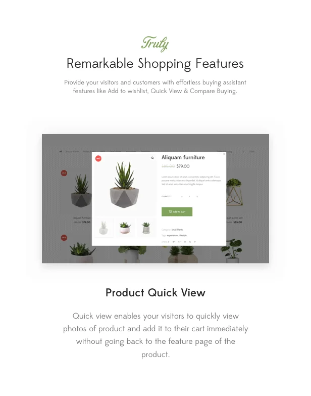 Lustria - MultiPurpose Plant Store WordPress Theme — screenshot 2